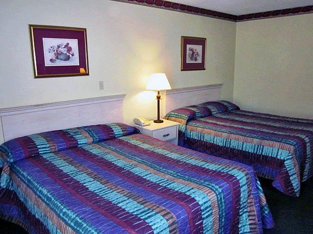 Motel 6-Richmond, In Room photo